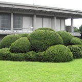 arbres_27